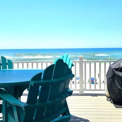 Sanddollar 11