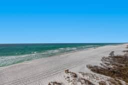 Sand Dollar-1 5BR on Beach Free Bch Serv Mar-Oct - Image 2
